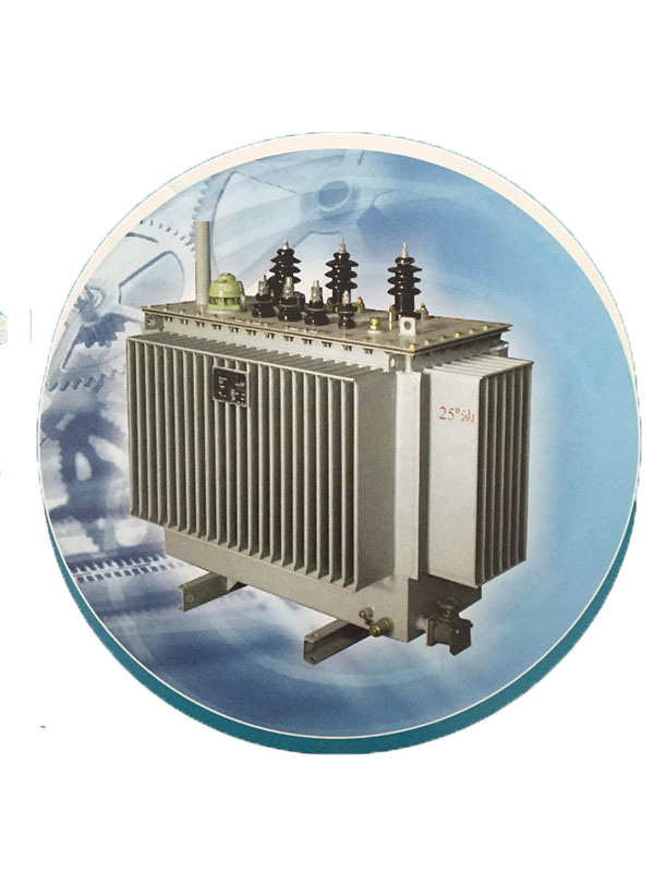 Three Phase Oil Immersed Sealed Power Transformer 10kv