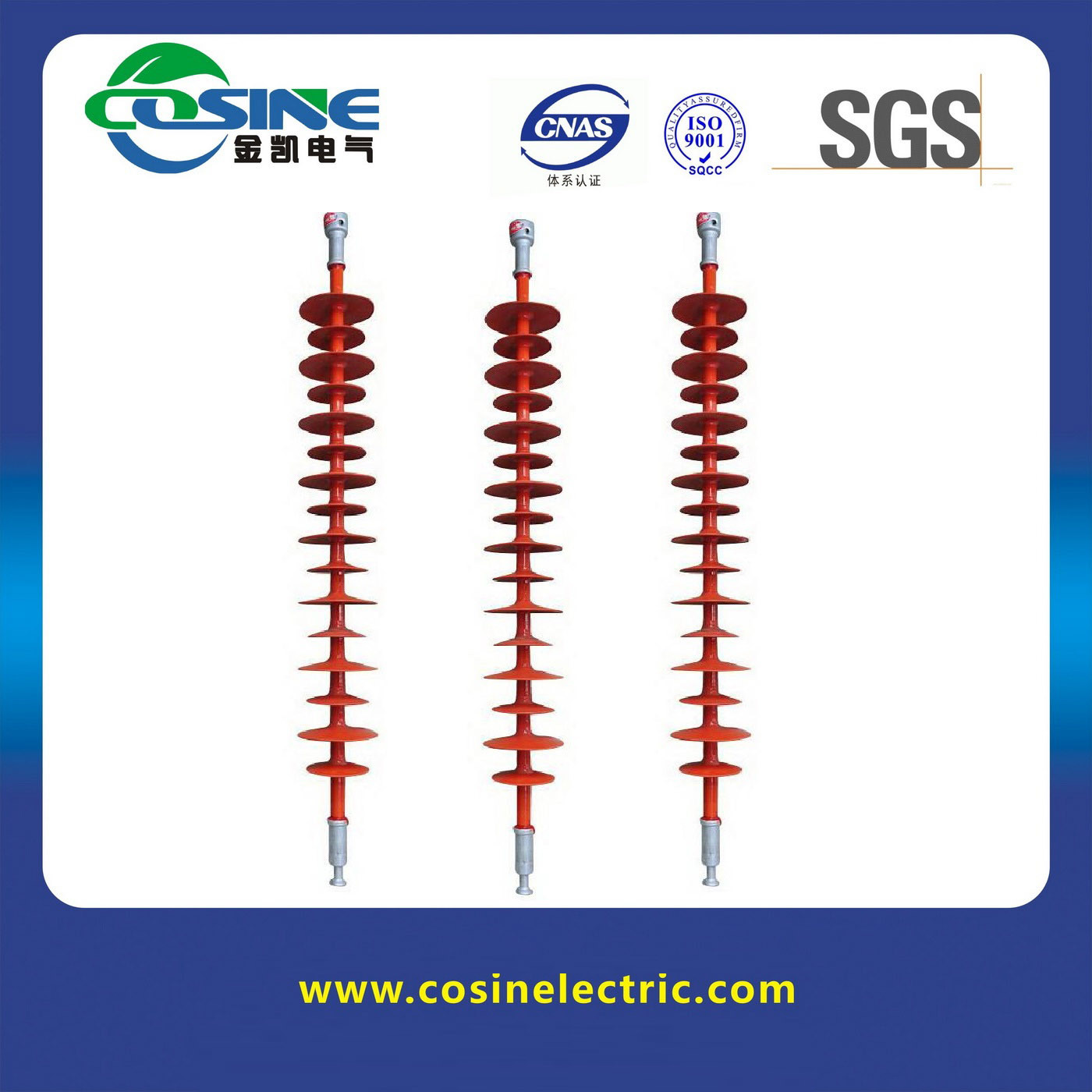 China 
                132kV-220kV aislantes de polímero para línea de transmisión de alta tensión
              fabricante y proveedor