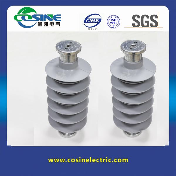China 
                        22kv IEC Composite Insulator/Station Post Insulator
                      manufacture and supplier