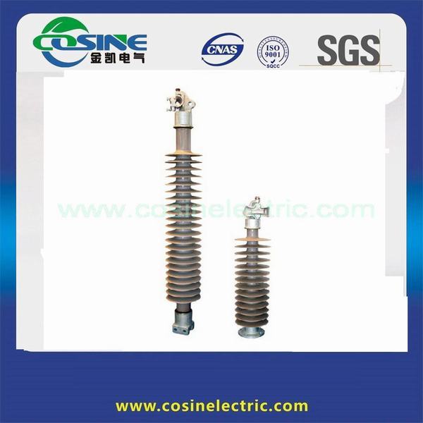China 
                        Vertical Clamp Type Line Post Insulator/Composite Insulator
                      manufacture and supplier