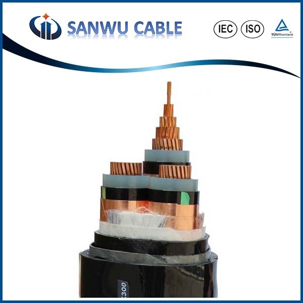 Chine 
                0.6/1kv-4+1 Core Copper Conductor XLPE Insulated PVC Sheathed Power Cable
              fabrication et fournisseur