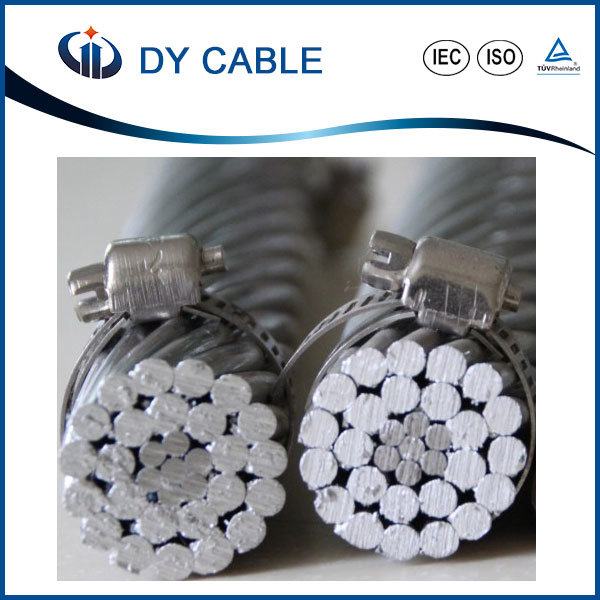 Chine 
                                 La norme ASTM kv 0.6/1Noyau en acier du fil torsadé câble ACSR en aluminium                              fabrication et fournisseur