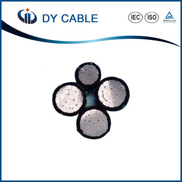 0.6/1kv Aluminum Alloy Cable XLPE Conductor 1*16+16 Aerial Bundled Cable