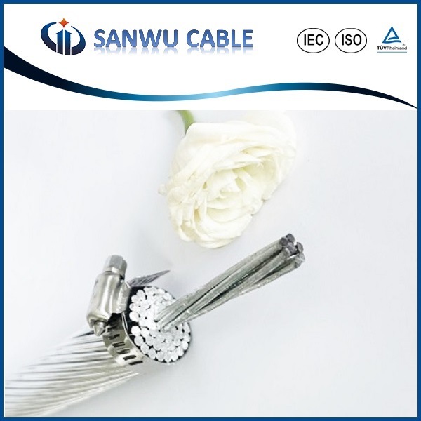 China 
                1370 1350 cable de aluminio de aleación AAAC conductor
              fabricante y proveedor