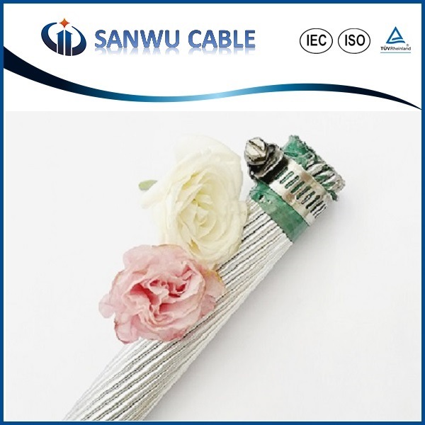 China 
                Cable eléctrico AAC conductor de aluminio de 50 mm2 120 mm2
              fabricante y proveedor