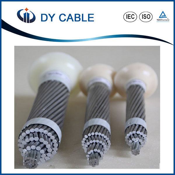 China 
                        AAAC (All Aluminium Alloy Conductors) for Overhead
                      manufacture and supplier