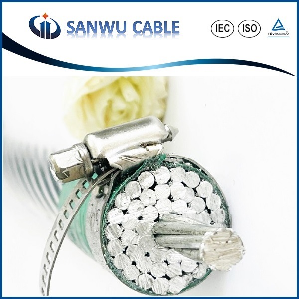 China 
                AAAC Conductor Cable-All Aluminum Alloy Conductor
              manufacture and supplier