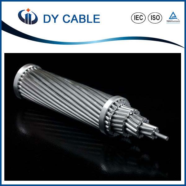 China 
                        ACSR Conductor (Aluminum Conductor Steel Reinforced) Manufacturer
                      manufacture and supplier
