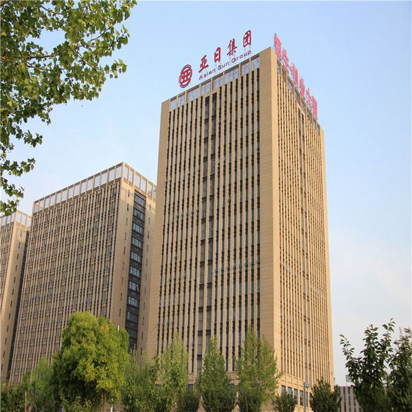 China 
                                 Caa (Fabricante de Alumínio Nu com Alma de Aço) para a linha de transmissão de energia                              fabricação e fornecedor