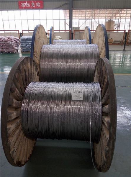 China 
                        ACSR Shepherd Conductor AWG 6 Duplex Service Drop
                      manufacture and supplier