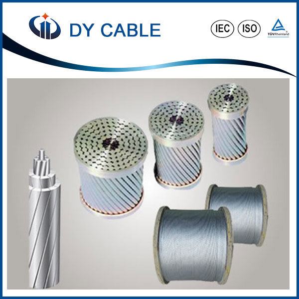 China 
                        ASTM BS DIN CSA Standard AAC Conductor
                      manufacture and supplier