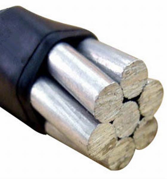 China 
                                 ASTM Standard-AAC alle Aluminiumleiter der elektrischen Leiter                              Herstellung und Lieferant