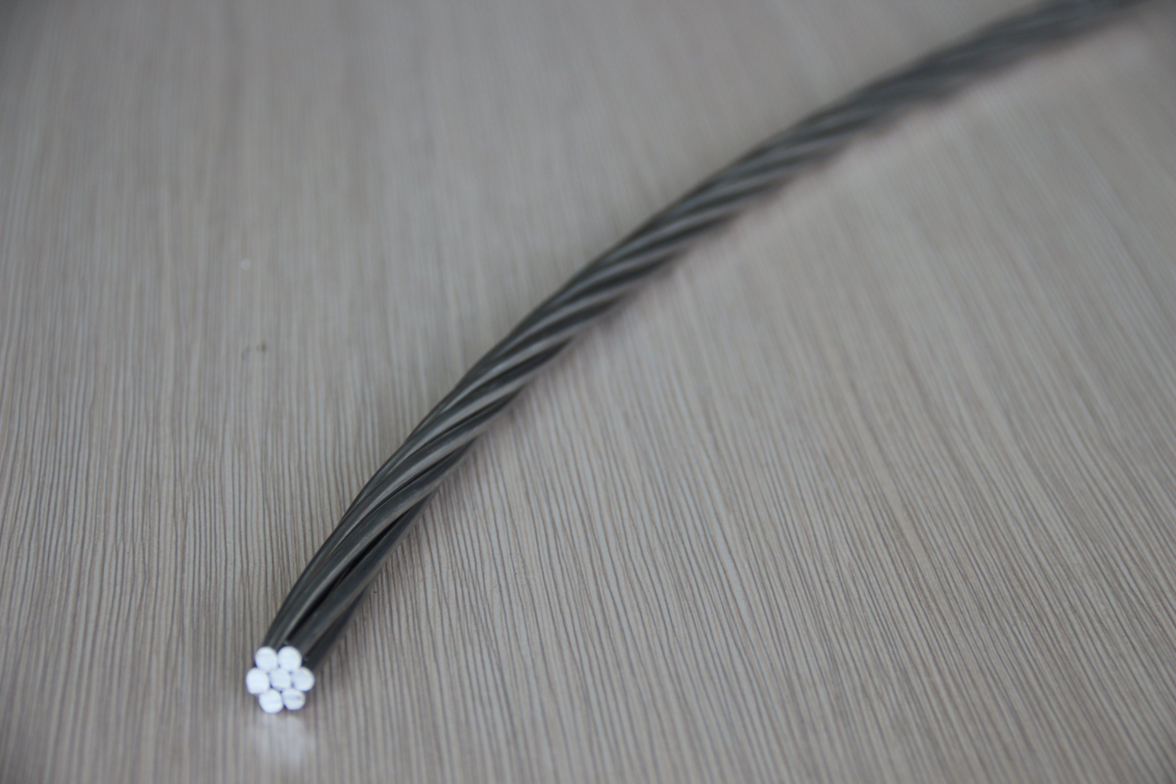China 
                Aacwasp 100mm2 All Aluminum Conductor
              manufacture and supplier