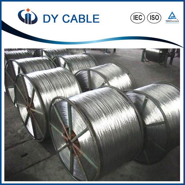 China 
                                 Todos los conductores de aluminio/Cable AAC fabricante/proveedor                              fabricante y proveedor