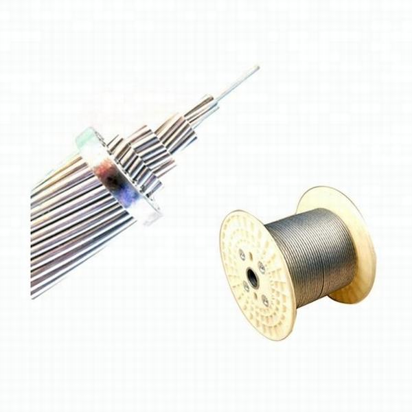 China 
                                 El conductor de aluminio Cable desnudo AAC, AAAC, ABC, ACSR                              fabricante y proveedor
