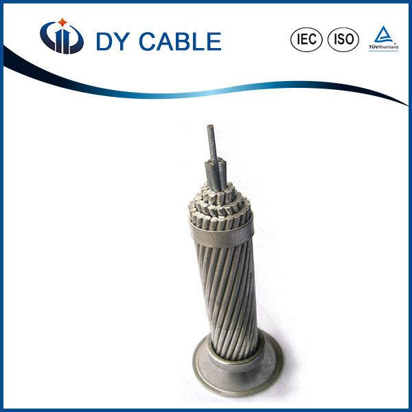 China 
                        BS 3242 All Aluminum Alloy Conductor Elm, AAAC Conductor
                      manufacture and supplier