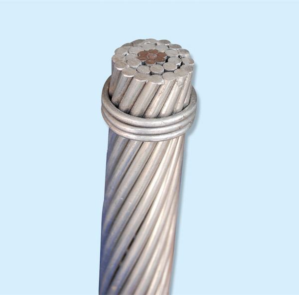 China 
                        Bare Conductors ACSR Cable ACSR Conductor
                      manufacture and supplier