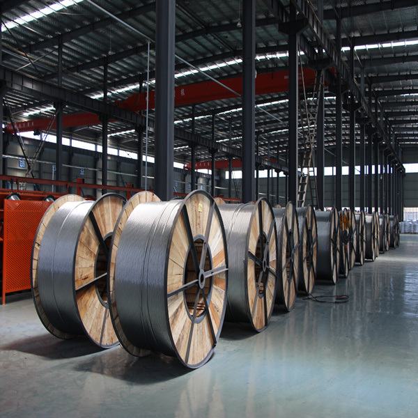 China 
                                 Desnuda o aislado Concentric-Lay trenzado de cables de aluminio Cable Linnet ACSR                              fabricante y proveedor