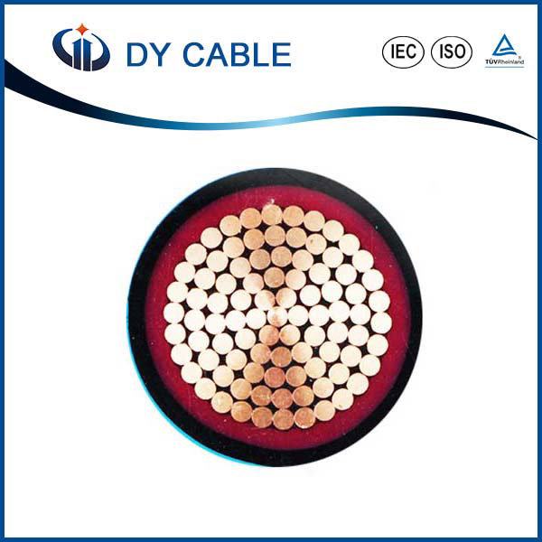 China 
                        Copper Conductor XLPE Insulated Armoured Power Cables
                      manufacture and supplier