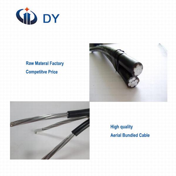 China 
                        Duplex Aluminum Conductor XLPE Insulated Aerial Bundled Cable
                      manufacture and supplier
