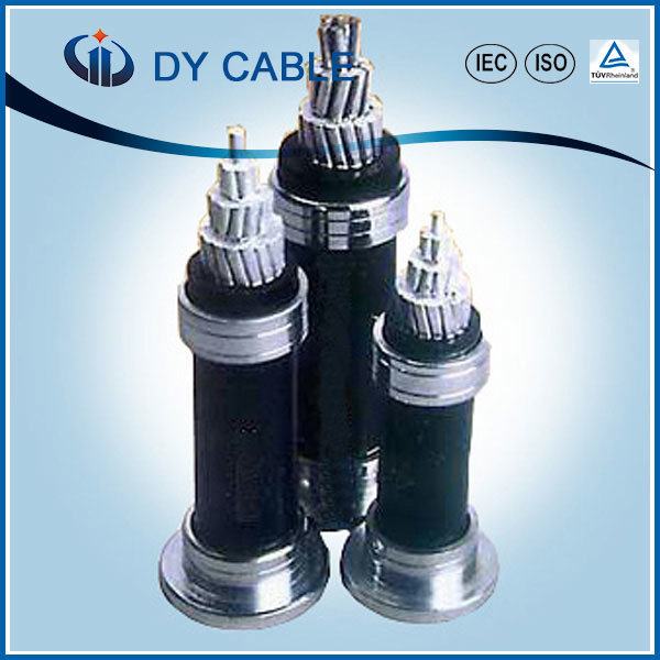 China 
                        Duplex/Quadruplex/Triplex ABC Aerial Bundled Cable
                      manufacture and supplier