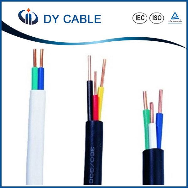 China 
                                 Hogar Industrial 450/750V trenzado de alambre de cobre del cable de alimentación eléctrica                              fabricante y proveedor
