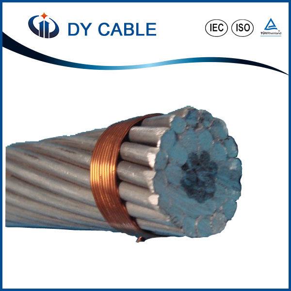 China 
                                 Sobrecarga AAC AAC/Cable conductor trenzado de aluminio                              fabricante y proveedor