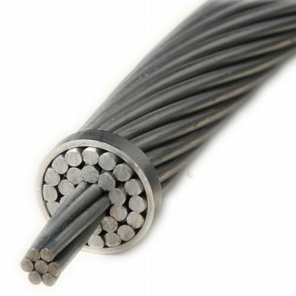 China 
                                 ACSR sobrecarga ASTM cable conductor eléctrico de 477 conductores de aluminio reforzado con acero MCM                              fabricante y proveedor
