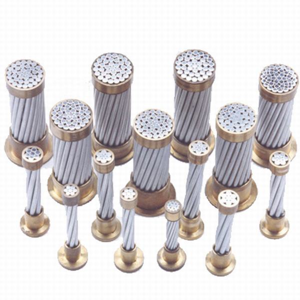 China 
                        Overhead ACSR Cable Bare Aluminum Conductor Steel Reinforced
                      manufacture and supplier