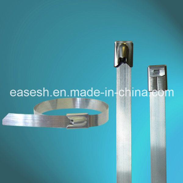 China 
                        304 316 Self-Locking Stainless Steel Metal Cable Ties
                      manufacture and supplier