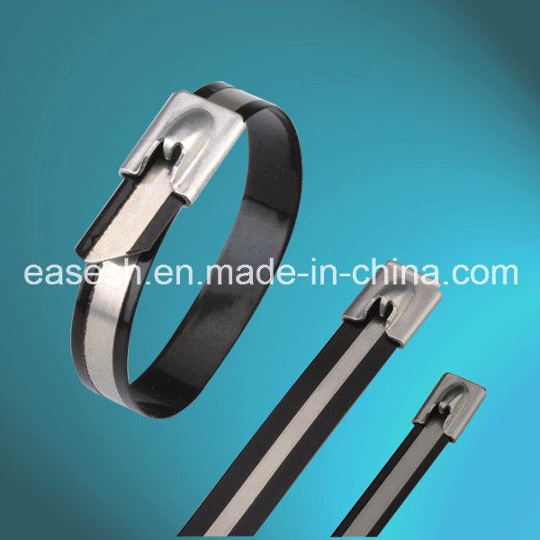 China 
                        Ball-Lock Type Pattern-Coated Ss 304/316 Cable Ties
                      manufacture and supplier