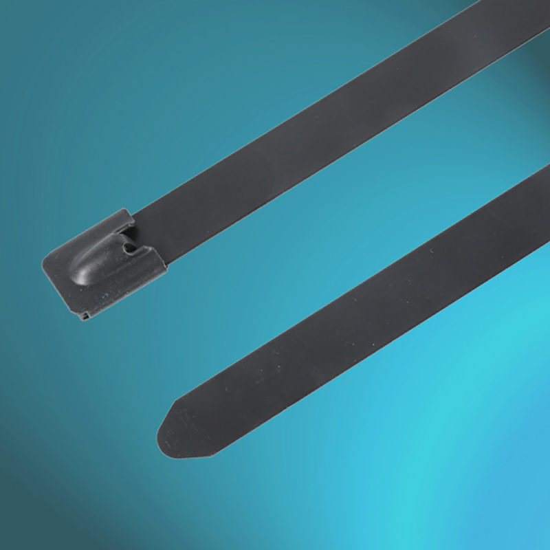 
                Schwarze, Polyester-beschichtete Edelstahl-Kabelbinder mit UL CE ISO9001
            