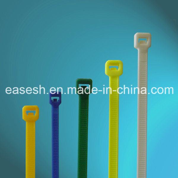 China 
                        Color Nylon Cable Ties (Warehouse in the Europe)
                      manufacture and supplier
