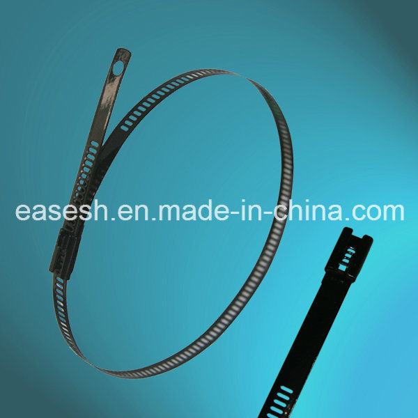 China 
                        Epoxy Fully-Coated Stainless Steel Ladder Cable Ties (Multi Lock)
                      manufacture and supplier