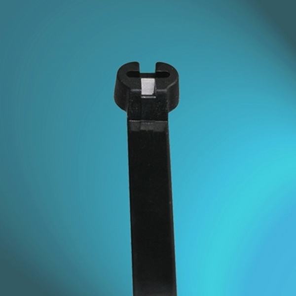 China 
                        Europe Standard Barb-Lock Type Nylon PA66 Cable Ties with UL
                      manufacture and supplier