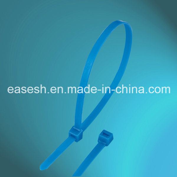 China 
                        High Temperature Tflen Cable Ties
                      manufacture and supplier