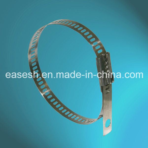 China 
                        Ladder Multi Barb Lock Ss 304/316 Cable Ties
                      manufacture and supplier