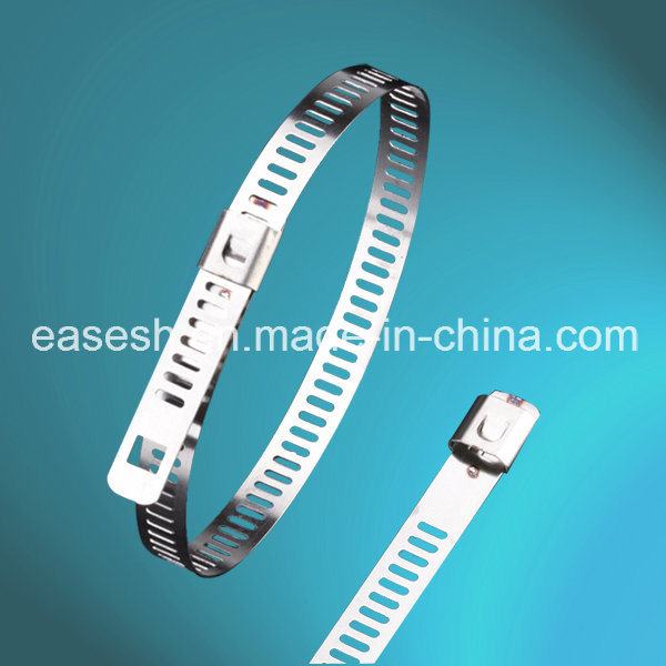 China 
                        Manufacture Ladder Single Lock Type Stainless Steel Cable Ties
                      manufacture and supplier