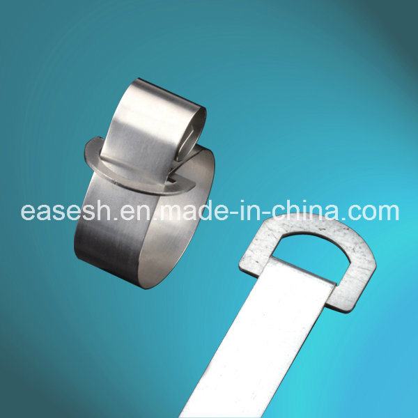China 
                        Manufacture Ring Type Stainless Steel 304/316 Cable Ties
                      manufacture and supplier