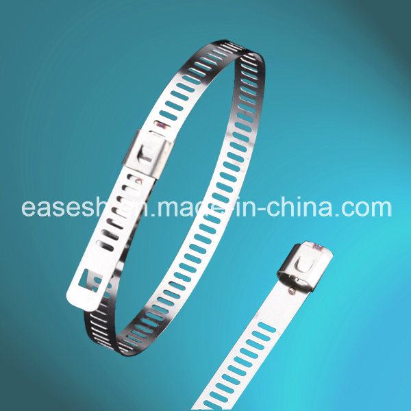 China 
                        Manufacture Ss Cable Ties (Ladder Single Lock)
                      manufacture and supplier