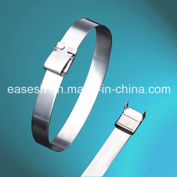 China 
                        Manufacture Wing Lock Type Stainless Steel Cable Ties
                      manufacture and supplier