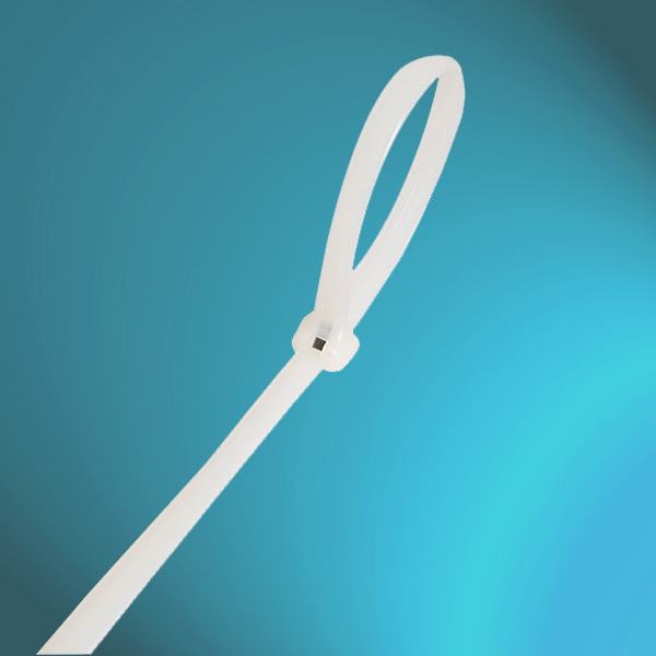 China 
                        Metal Tongue Teeth Stainless Steel Barb Locking Nylon Cable Ties with UL
                      manufacture and supplier