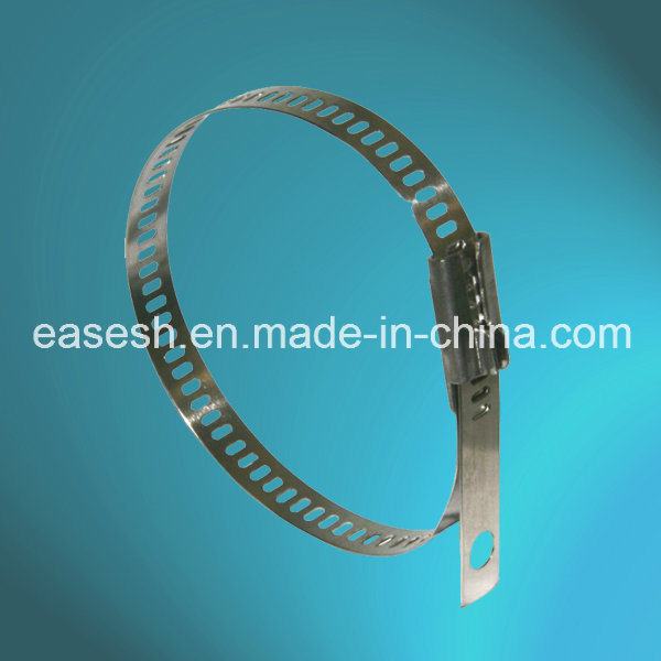 China 
                                 N° 1 Escalera de la producción china Multi-Lock Bridas de acero inoxidable                              fabricante y proveedor