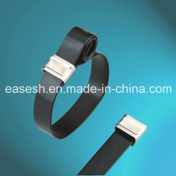 China 
                                 O PVC semi Braçadeiras de metal revestido 200*4.6 (mm)                              fabricação e fornecedor