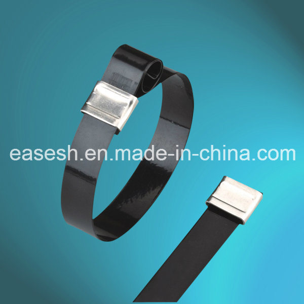 China 
                Edelstahl Epoxidbeschichtete Kabelbinder mit UL (O-Lock-Typ)
              Herstellung und Lieferant