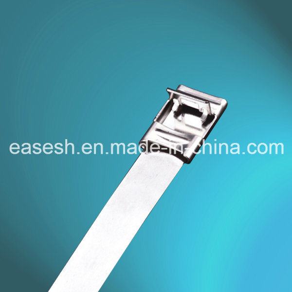 China 
                        Strapping Type Metal Cable Ties with UL RoHS CE
                      manufacture and supplier