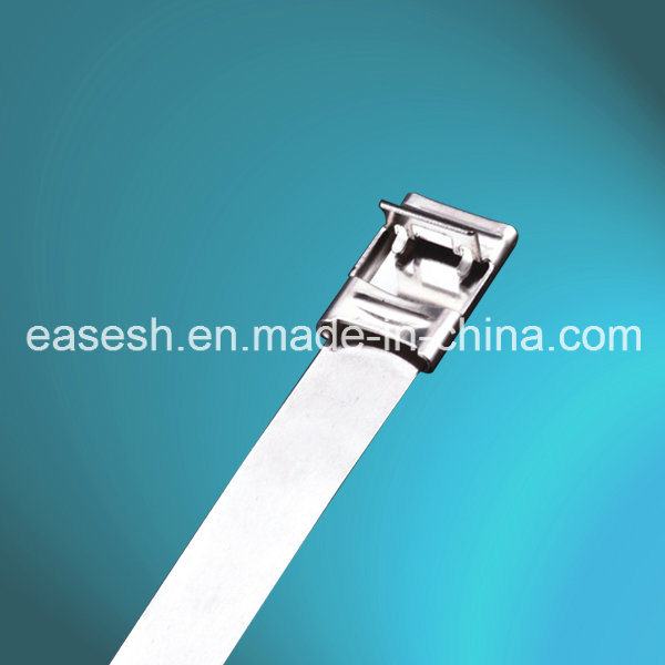 Uncoated Strapping Type Ss 304/316 Cable Tie