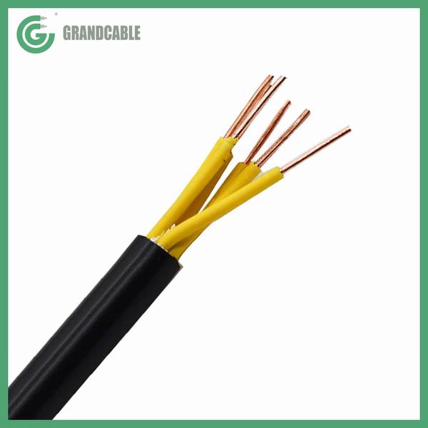 China 
                        0.3/0.5kV 2X2.5mm2 Solid Copper PVC Insulated PVC Sheathed Low Voltage Control Power Cable
                      manufacture and supplier