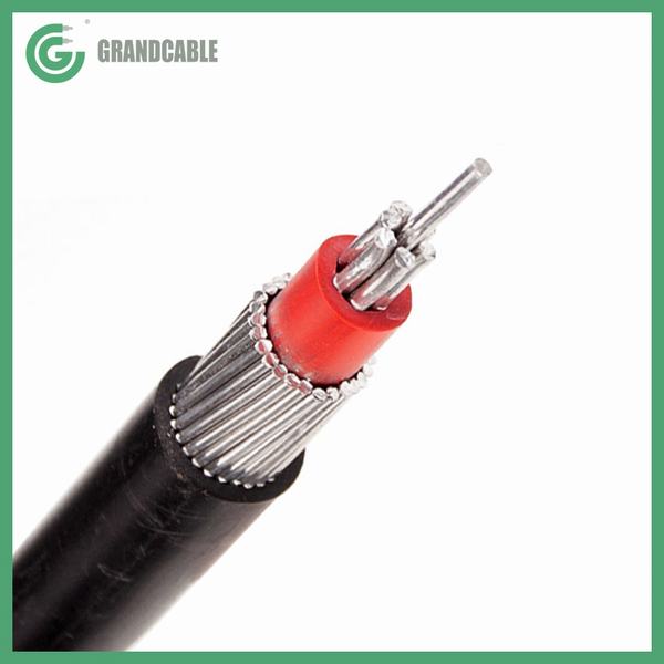 China 
                        0.6/1kV Aluminum LV Concentric Service Cable with Netural Screen
                      manufacture and supplier