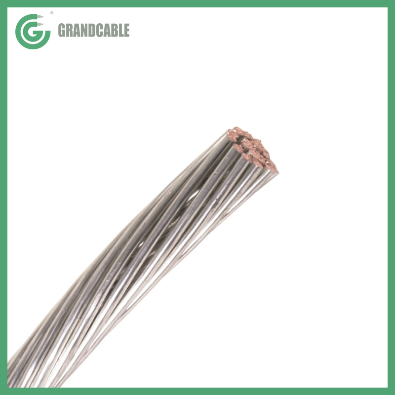China 
                        125mm2 Tinned Annealed Copper Conductor 19/2.68mm
                      manufacture and supplier